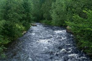 fast mountain river between wooded banks photo