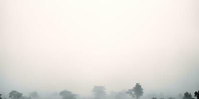 AI generated foggy morning in the pine forest, minimalist background with copy space photo