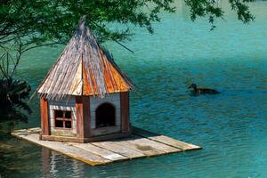 Pato casa flotante en el estanque cerca el apuntalar foto