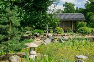 tea house near pond in japanese garden photo