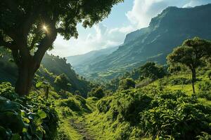 AI generated beautiful landscape of a high mountain valley with tropical vegetation and terraced fields in the background photo