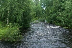 fast mountain river between wooded banks photo