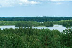 natural landscape with forest and lakes, aerial view photo