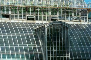 view of the glass walls and domes of a large vintage palm greenhouse photo