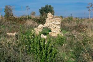 ruin on the site of the ancient city of Side in the vicinity of modern Manavgat, Turkey photo