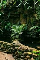 pond for moisture-loving plants in a tropical greenhouse photo