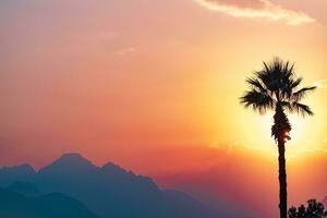 bright sunset or sunrise sky with misty mountains and the silhouette of a palm tree in the foreground photo