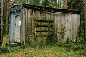 antiguo choza en el bosque cubierto con musgo y líquenes foto