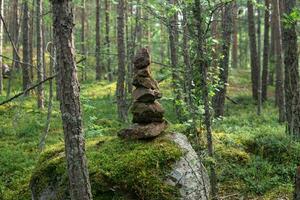 small cairn, a pyramid of stones in a coniferous forest photo