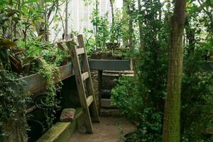 interior of a large greenhouse with a collection of tropical plants ang equipment photo