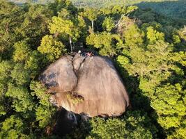 ai generado un bosque con arboles y un montaña en el antecedentes foto