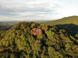 AI generated a forest with trees and a mountain in the background photo