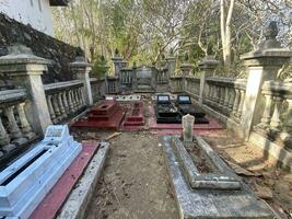 esta es bosque mahagoni en jogjakarta. en esta bosque muchos biodiversidad y ninguna antiguo celementerio en aquí foto