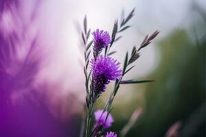 AI generated a close up of a purple flower with blurry background photo