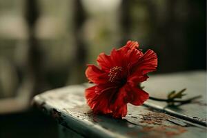 ai generado un rojo flor es sentado en parte superior de mesa foto