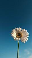 AI generated a single white flower with a blue sky in the background photo