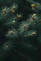 AI generated a close up image of a pine tree branch photo