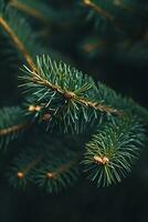 AI generated a close up image of a pine tree branch photo