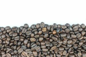 Coffee beans isolated on white background with copy space for text. photo