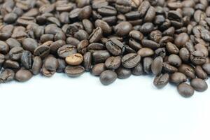 Coffee beans isolated on white background with copy space for text. photo