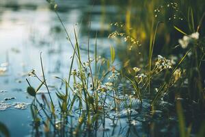 AI generated A captivating image capturing the tranquility of wetlands photo