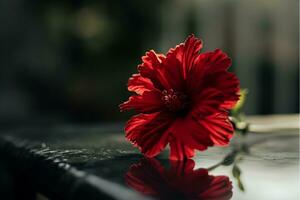 ai generado un rojo flor es sentado en parte superior de mesa foto