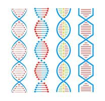 DNA structure Icon set. Structure molecule and cell, chromosome. Genetic engineering. Vector stock illustration