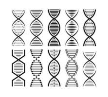 DNA structure Icon set. Structure molecule and cell, chromosome. Genetic engineering. Vector stock illustration