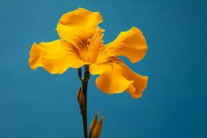 ai generado un amarillo flor con un azul llanura antecedentes foto