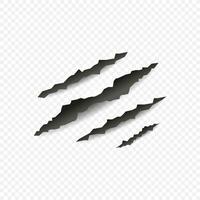 Realistic claw rip slash pattern on transparent background. Vector illustration.