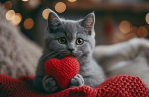 ai generado un adorable gris gato participación un rojo corazón foto