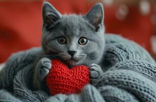 ai generado un adorable gris gato participación un rojo corazón foto