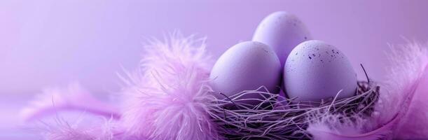 AI generated easter eggs with purple feathers in nest on purple background photo