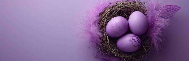 AI generated easter eggs with purple feathers in nest on purple background photo