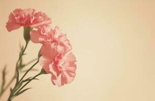 AI generated pink carnations arrange to the edge of the frame photo