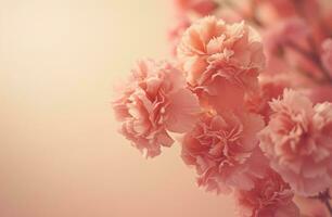 AI generated pink carnations arrange to the edge of the frame photo