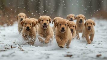 AI generated many puppies playing in the snow photo