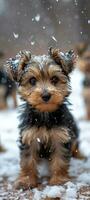 AI generated many yorrkshire puppies playing in the snow photo