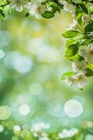 AI generated spring advertisment natural nackground with flowers, bokeh lights and copy space photo