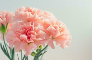 ai generado un ramo de flores de rosado claveles es metido en un marco en blanco plano foto