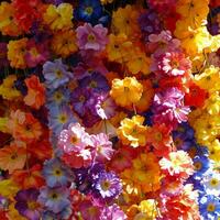 ai generado un gastos generales ver de un vibrante pabellón de flores, ideal para un animado primavera anuncio foto