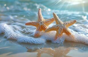 AI generated beach with two starfish and water photo