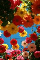 AI generated An overhead view of a vibrant canopy of flowers, ideal for a lively spring advertisement photo