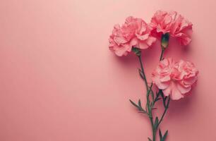 AI generated carnations on a pink background rose photo