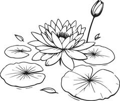 Waterlily line drawings, hand painted waterlily wall art, Campanule Clochette botanical wall art, simple bluebell drawing, waterlily stock outline drawing, lotus line art, hand drawn waterlily art vector