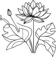 Flower coloring page and books, monochrome vector sketch, waterlily sketch, waterlilu vector, floral background with lotus natural leaf collection, illustration pencil art flower, bellflowe drawing