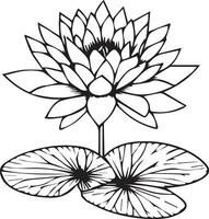 Flowers coloring pages, and book, Vector sketch of waterlily, Hand drawn waterlily, botanical leaf bud illustration engraved ink art style. waterlily sketch. vintage waterlily drawing