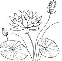 Flowers coloring pages, and book, Vector sketch of waterlily, Hand drawn waterlily, botanical leaf bud illustration engraved ink art style. waterlily sketch. vintage waterlily drawing