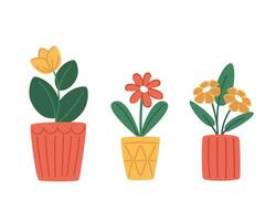 Set of indoor plants in modern pots in flat style vector