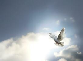 AI generated White pigeon or dove flying in cloudy sky photo